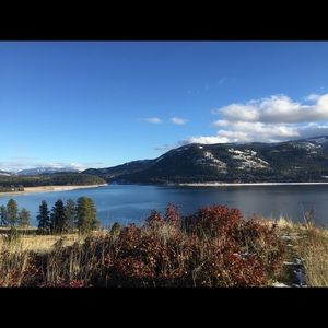 Meet your Posher, Willow-ann